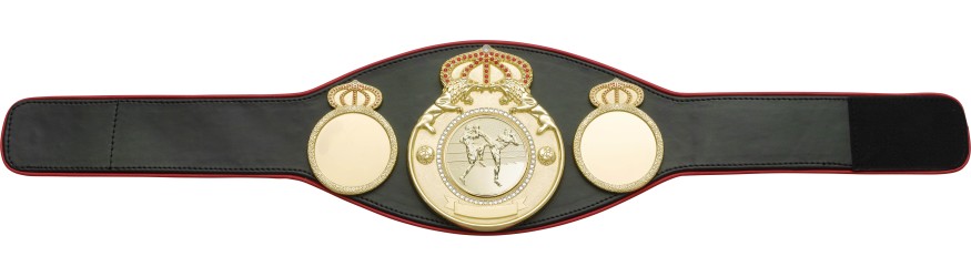 THAI BOXING CHAMPIONSHIP BELT PROLION/G/TBOG - AVAILABLE IN 6+ COLOURS THAI BOXING CHAMPIONSHIP BELT PROLION/G/TBOG - AVAILABLE IN 6+ COLOURS